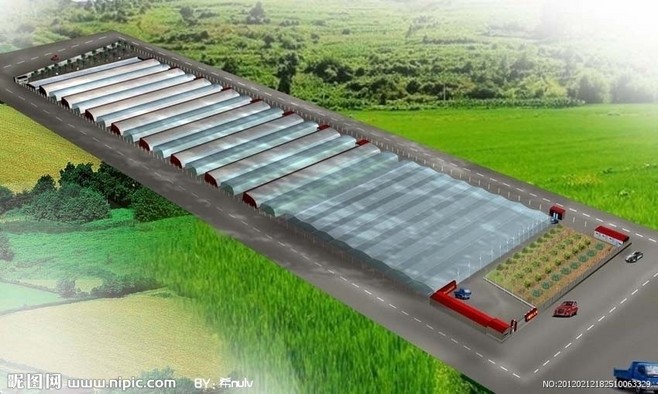 西寧蔬菜大棚建設 西寧大棚廠家